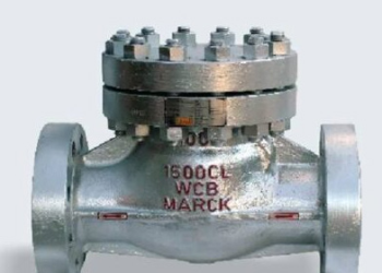 Hawa Marck Check Valve